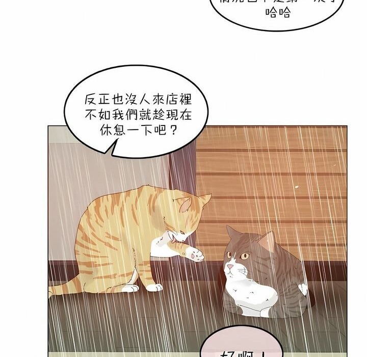4P - 一个变态的日常生活/A Pervert's Daily Life / 闯进她的生活