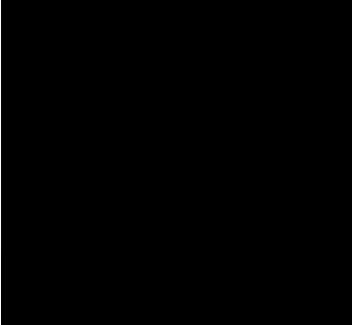 19P - 继母