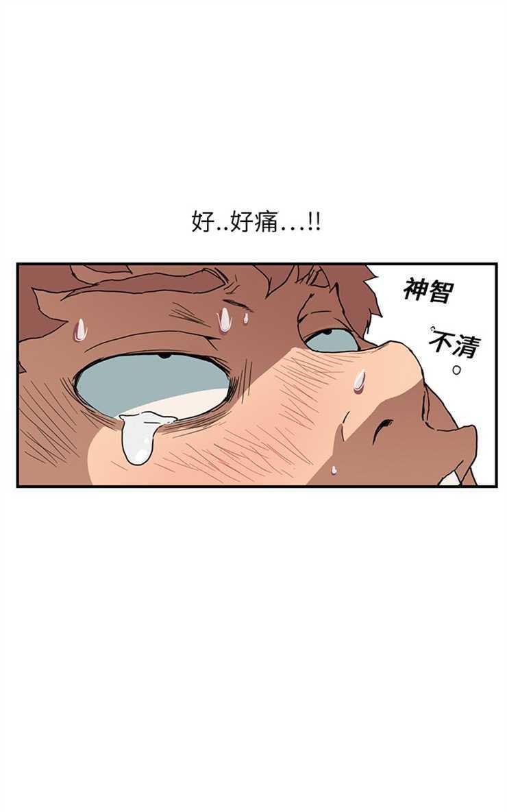 19P - 继母