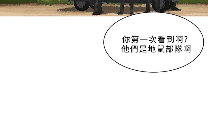 77P - 异邦人