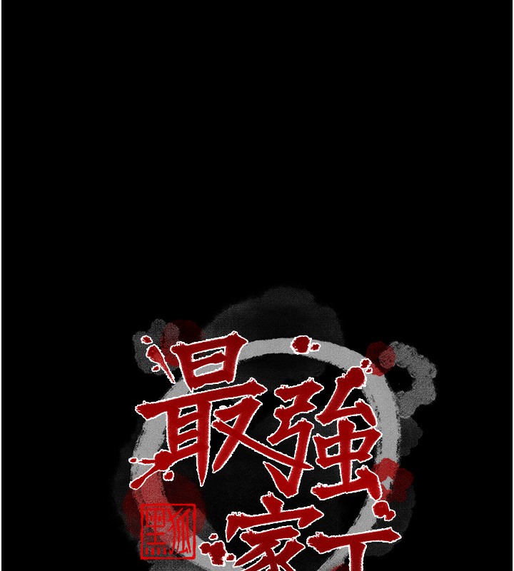 17P - 最强家丁
