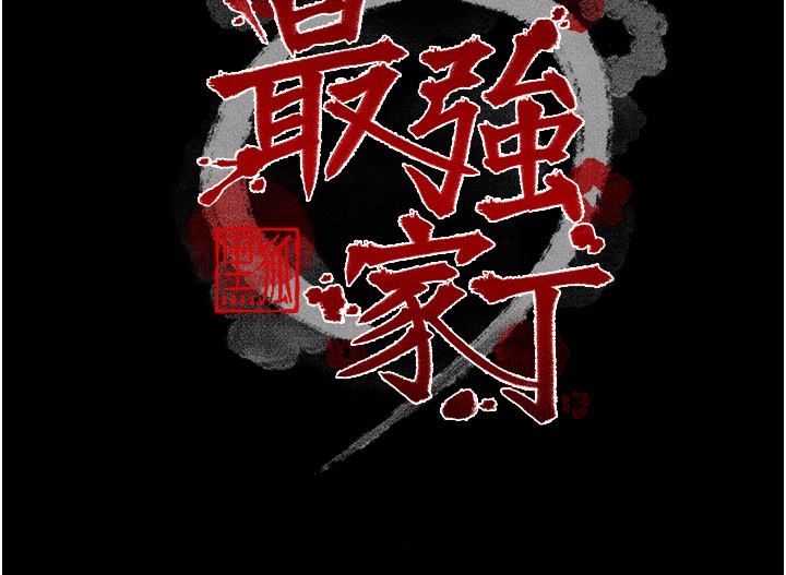 13P - 最强家丁
