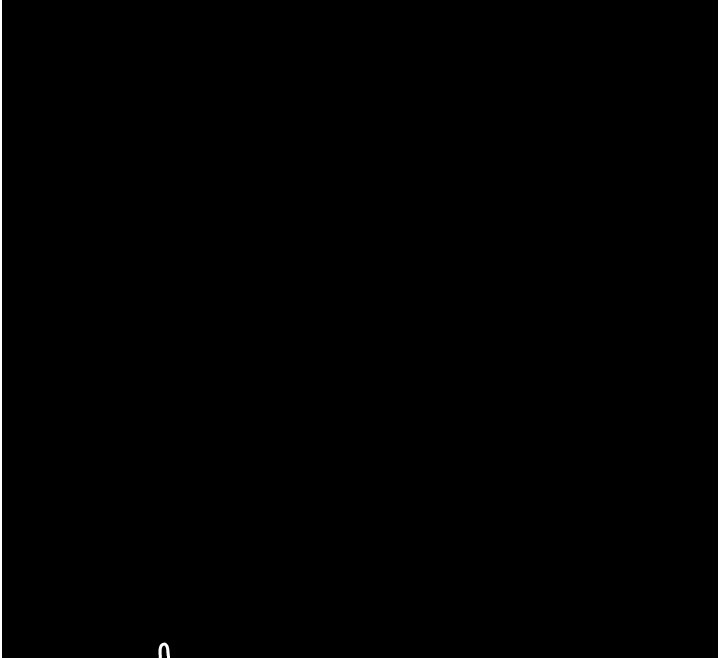 146P - 最强家丁