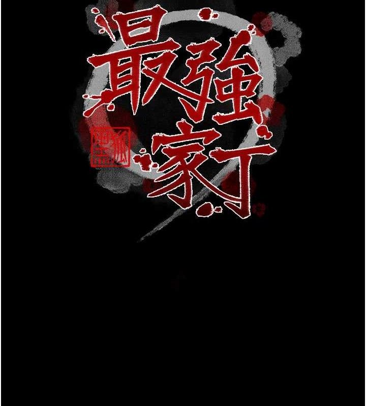 16P - 最强家丁
