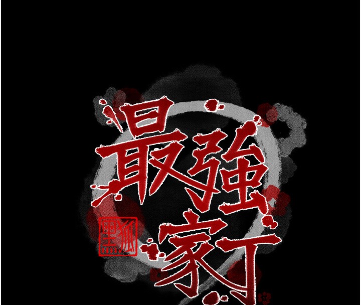 16P - 最强家丁