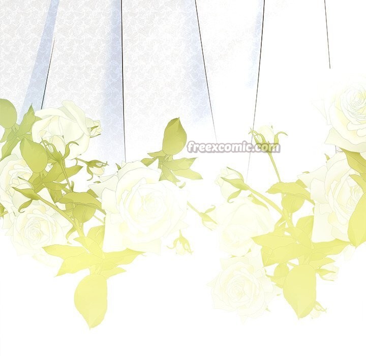 14P - 被吞噬的夜