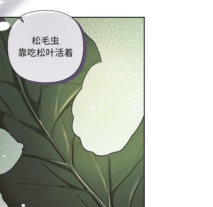 37P - 被吞噬的夜