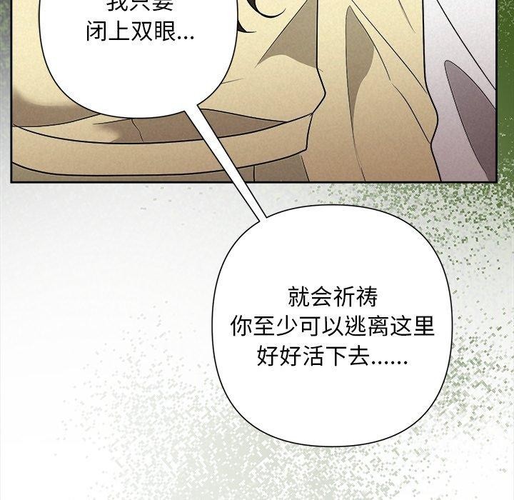 49P - 被吞噬的夜