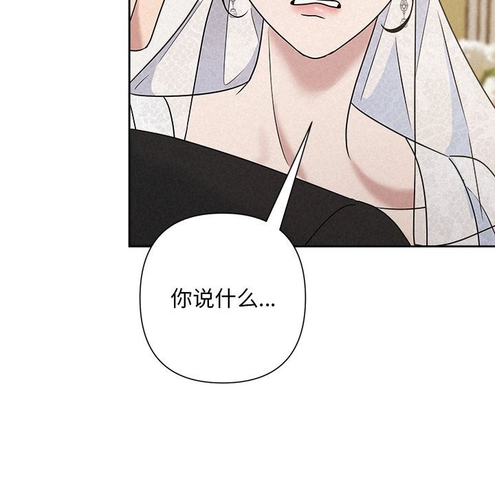 33P - 被吞噬的夜