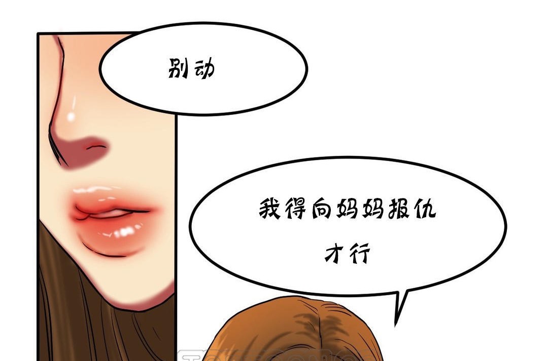 123P - 夫人的礼物/Bittersweet