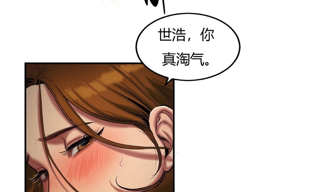 74P - 夫人的礼物/Bittersweet