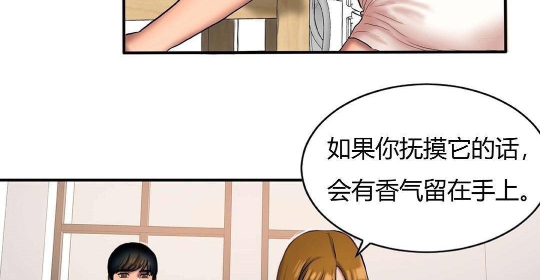 29P - 夫人的礼物/Bittersweet