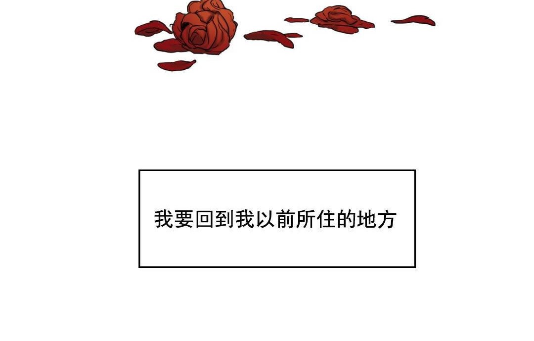 83P - 夫人的礼物/Bittersweet