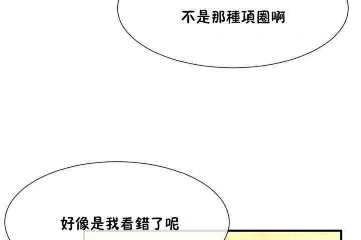 29P - 男公关与富家女/Deceptions/特殊宴会 五夫人/Host到金汤匙/金汤匙