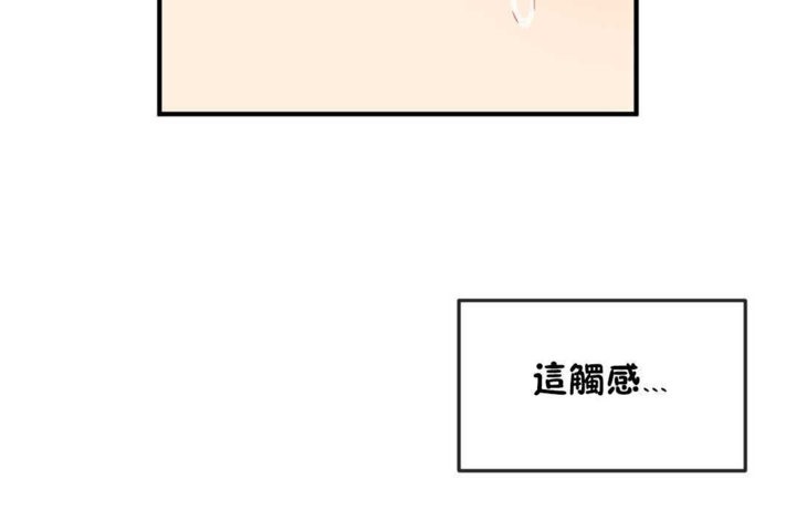 53P - 男公关与富家女/Deceptions/特殊宴会 五夫人/Host到金汤匙/金汤匙