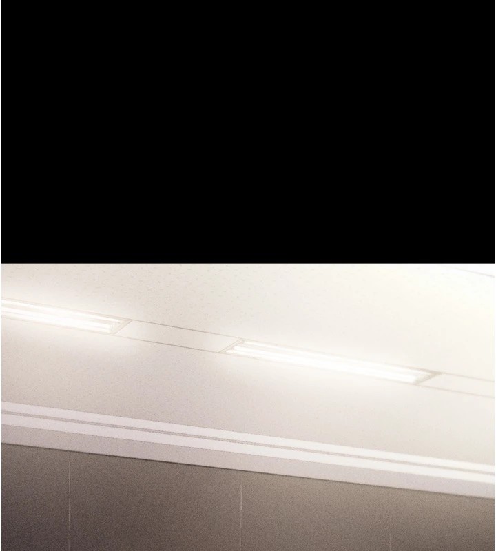 169P - 选手村:母猪调教