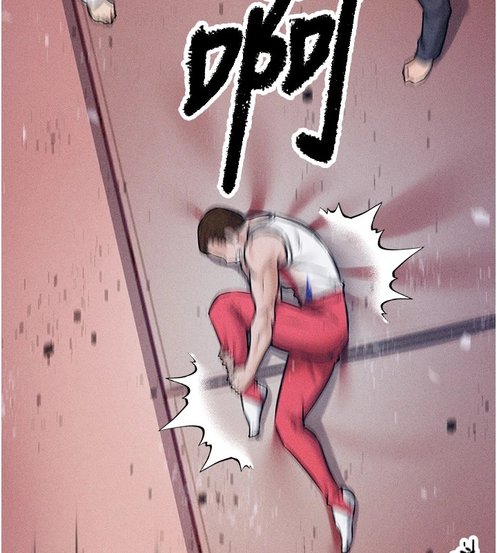 31P - 选手村:母猪调教