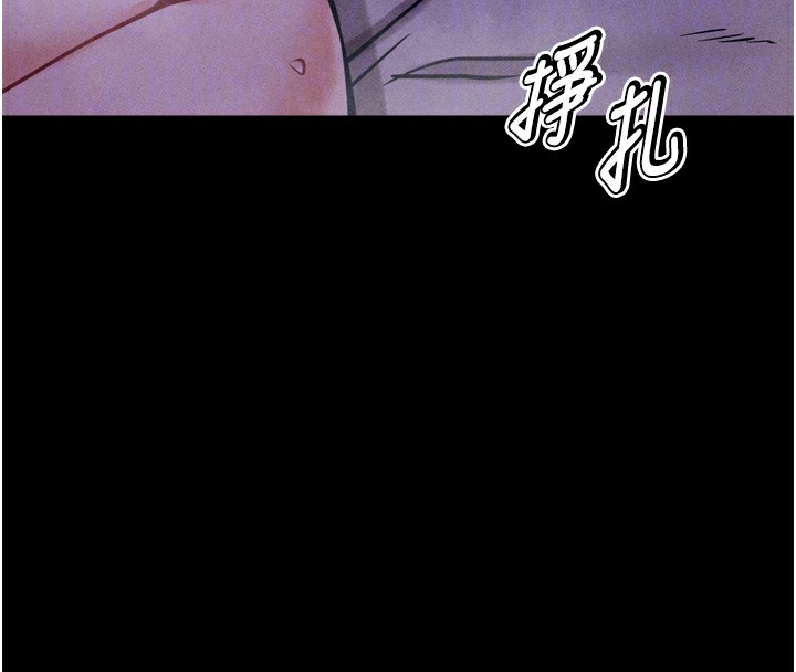 35P - 选手村:母猪调教