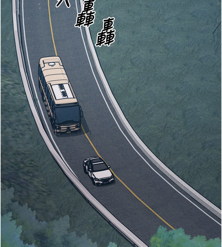 229P - 选手村:母猪调教