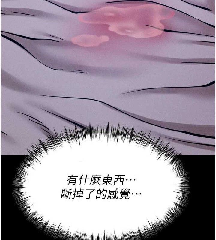34P - 选手村:母猪调教