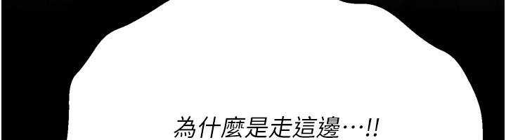 247P - 选手村:母猪调教