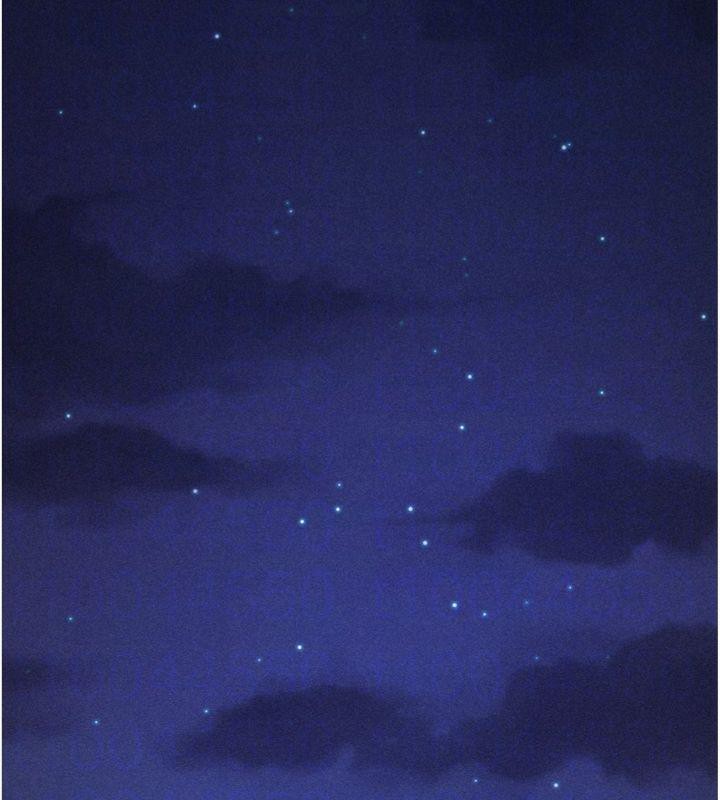 105P - 选手村:母猪调教