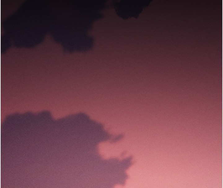 162P - 选手村:母猪调教