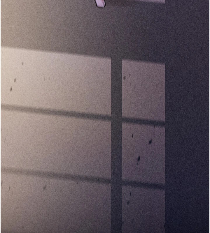 279P - 选手村:母猪调教