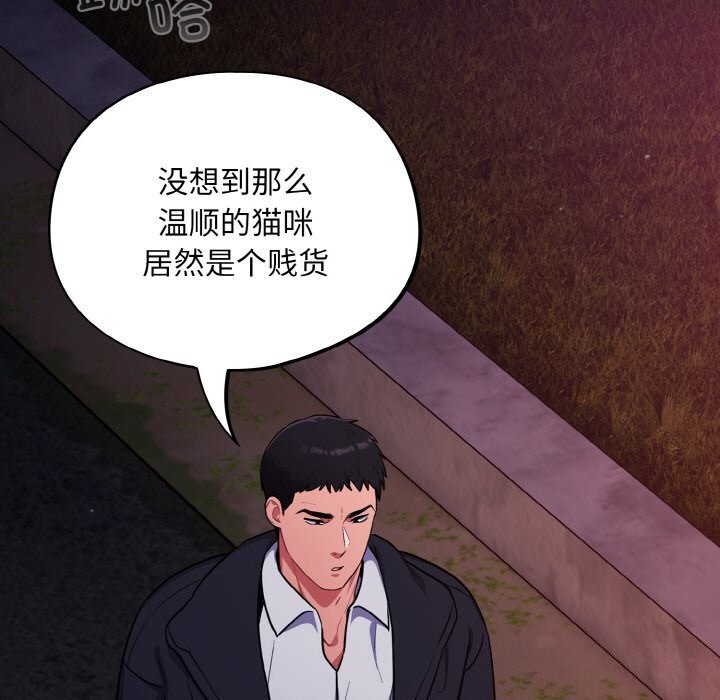 51P - 傻瓜病毒