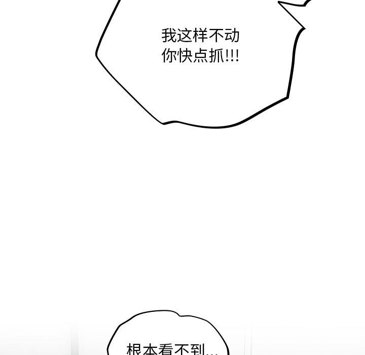 61P - 傻瓜病毒
