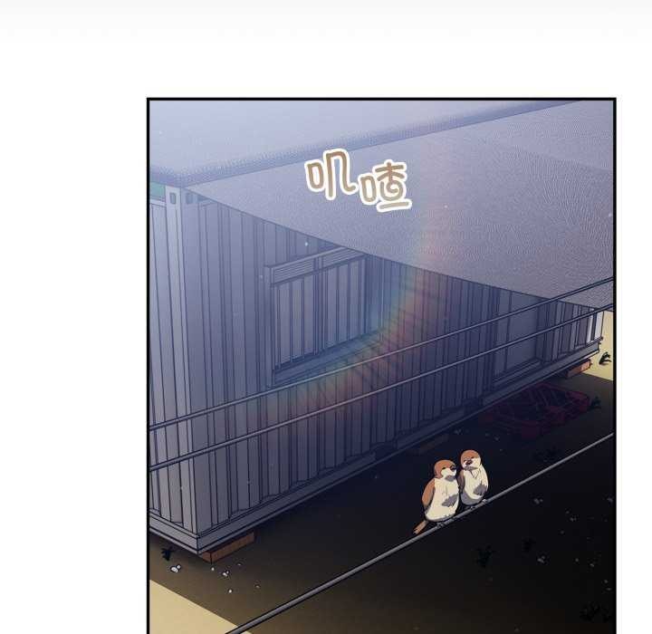 22P - 傻瓜病毒