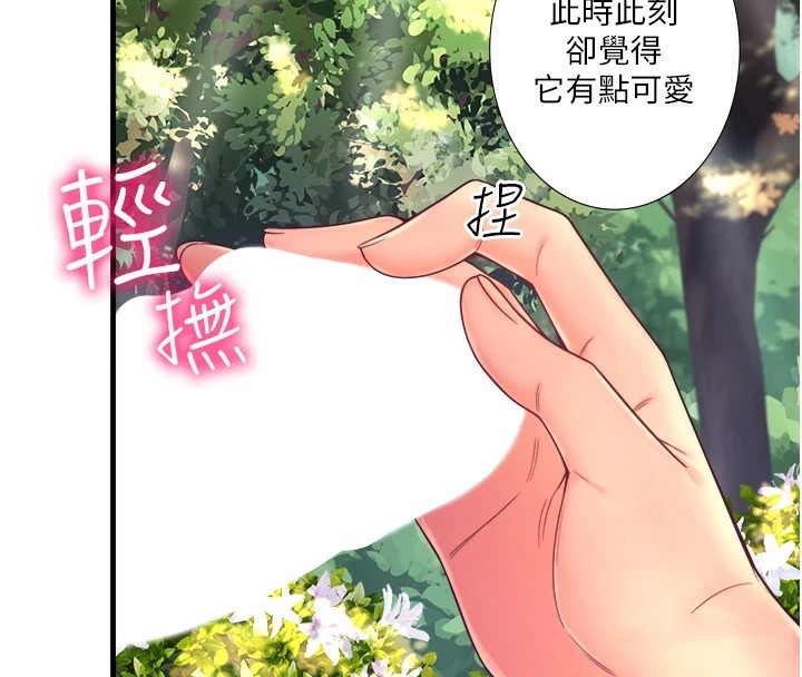 36P - 秘密温泉:混汤旅馆