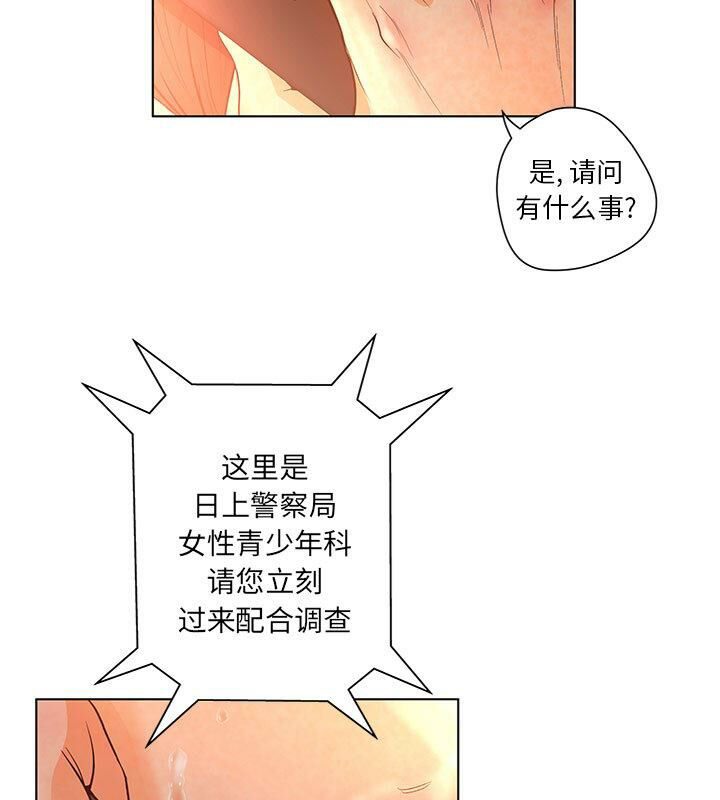 43P - 诬告