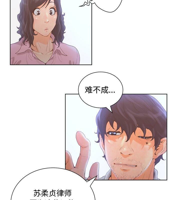 43P - 诬告