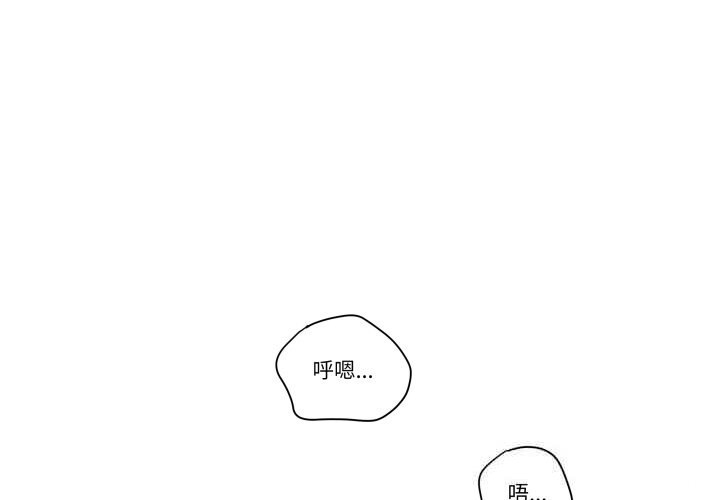 1P - 柔软的爱人