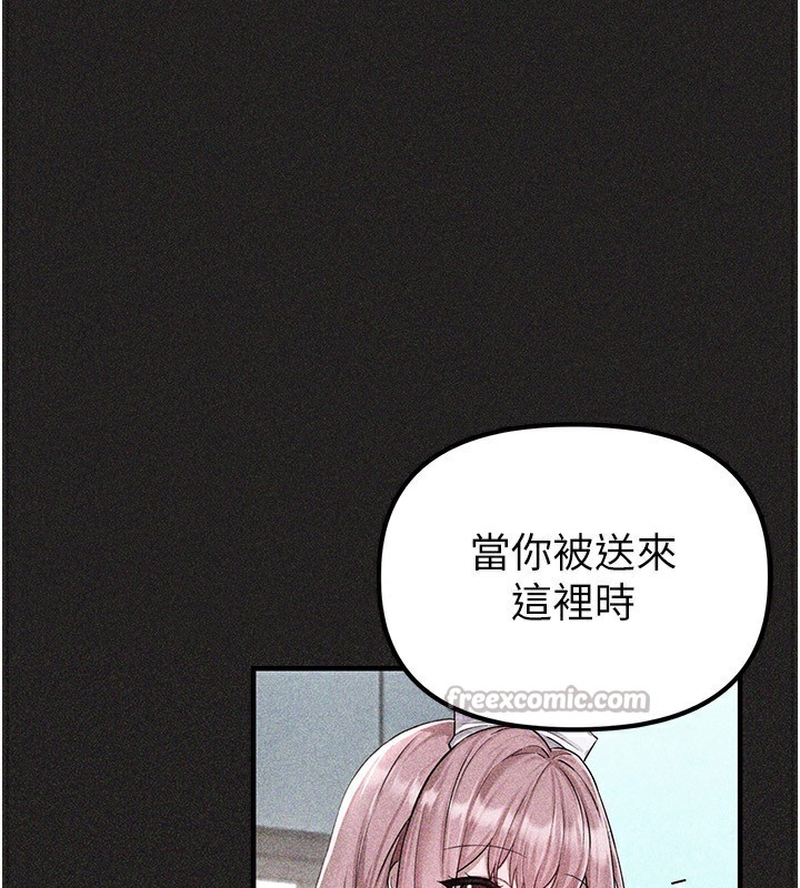 42P - 男人配额制