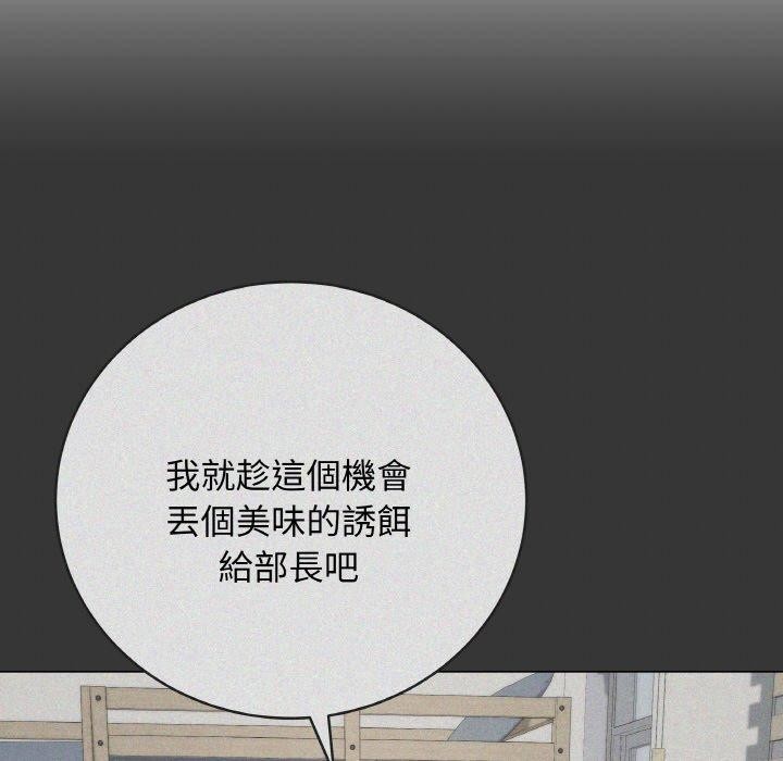 25P - 最后的冲刺