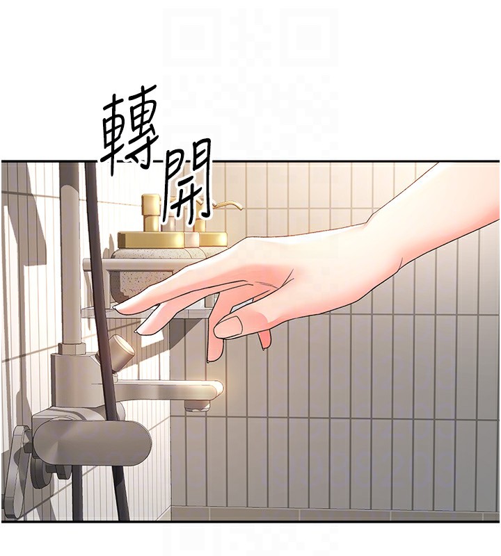 18P - 顶加套房的春天