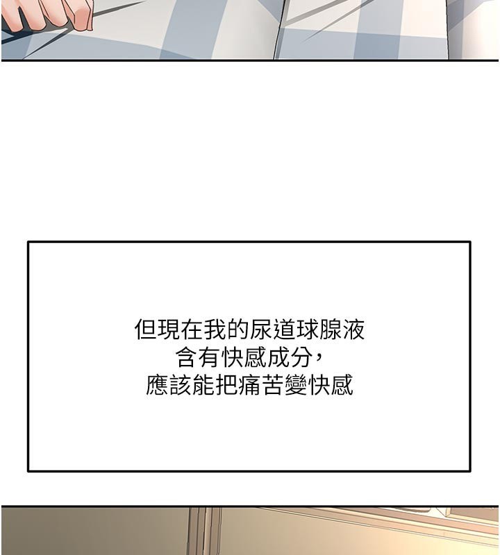 141P - 顶加套房的春天