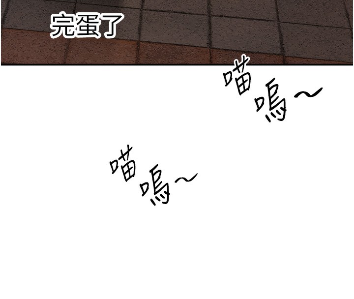 91P - 倒追游戏