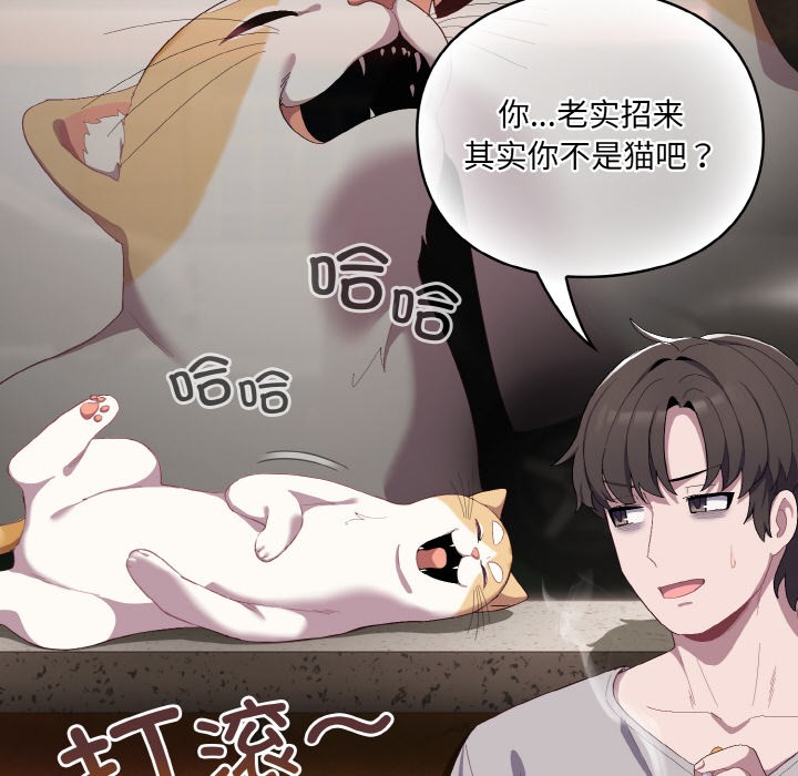 114P - 喵来的恋爱