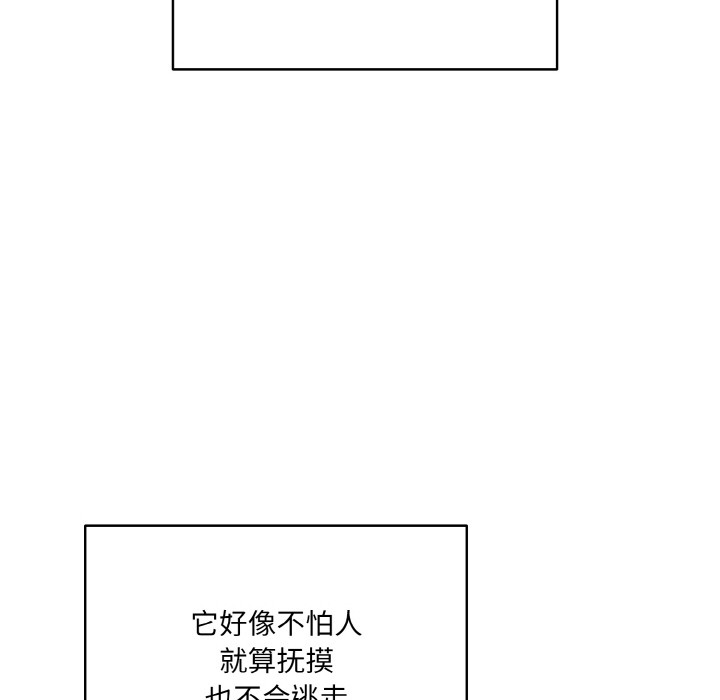 84P - 喵来的恋爱