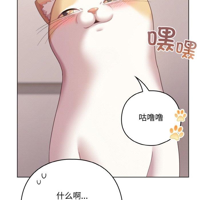 155P - 喵来的恋爱