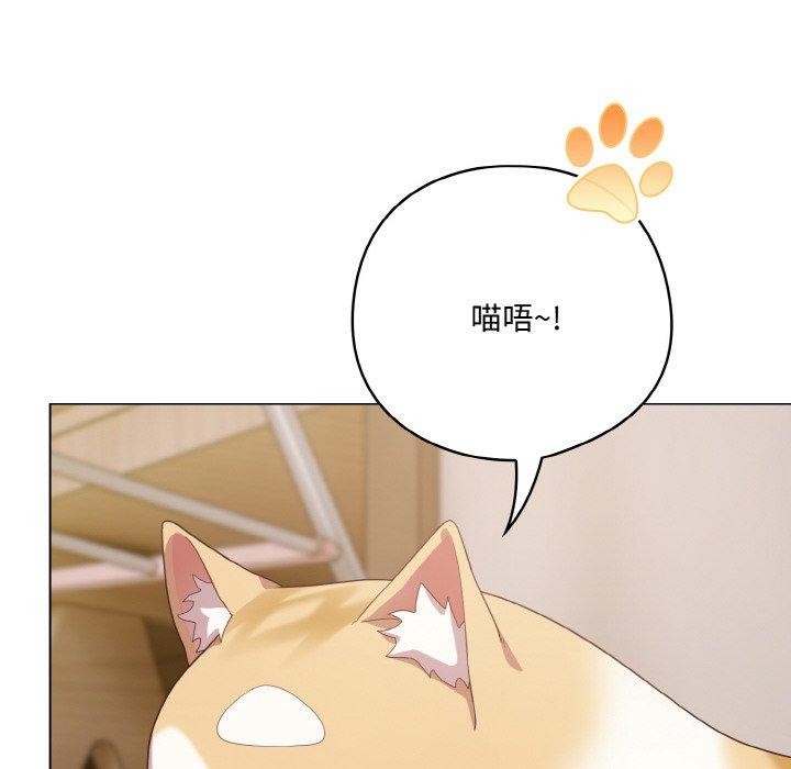 166P - 喵来的恋爱