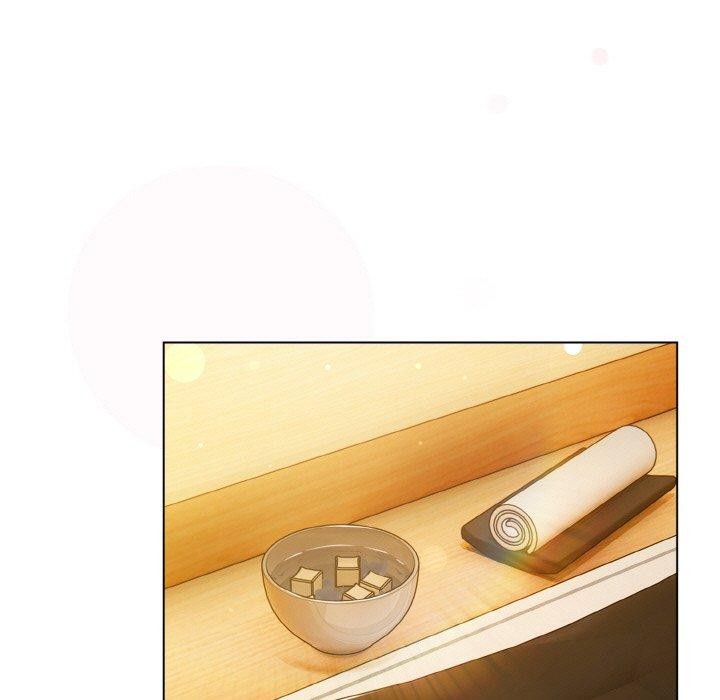 93P - 喵来的恋爱