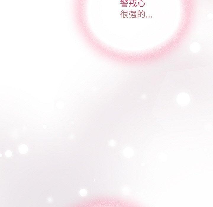 14P - 喵来的恋爱