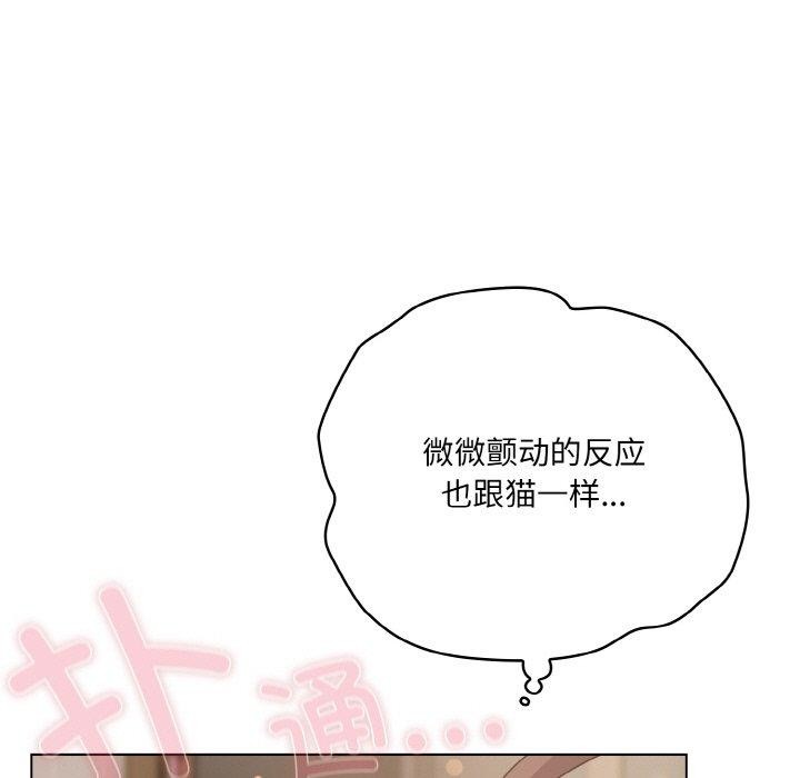 39P - 喵来的恋爱
