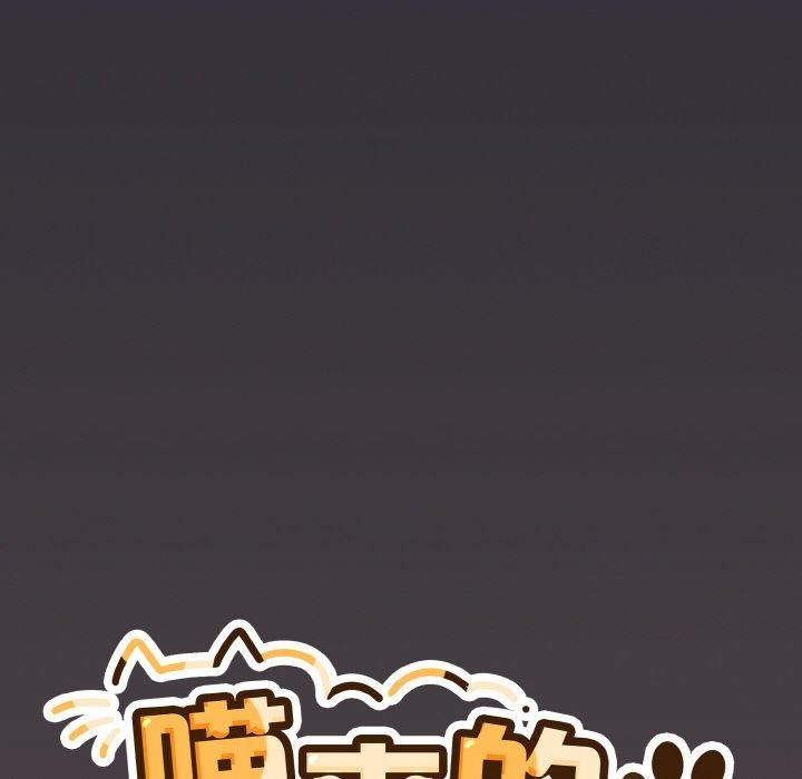 114P - 喵来的恋爱