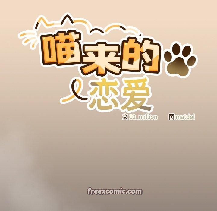 56P - 喵来的恋爱