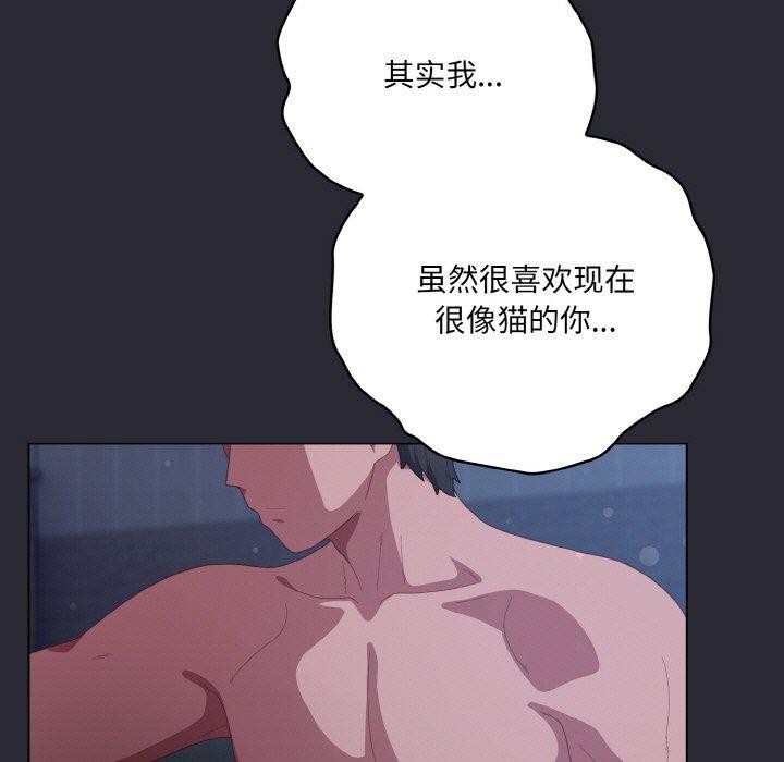165P - 喵来的恋爱